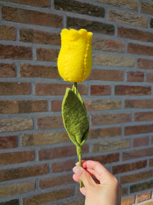 Tulp Geel
