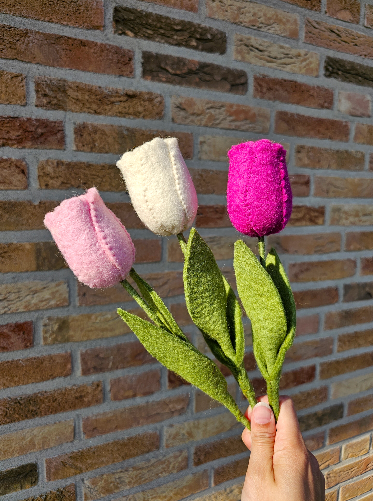 Tulp Paars