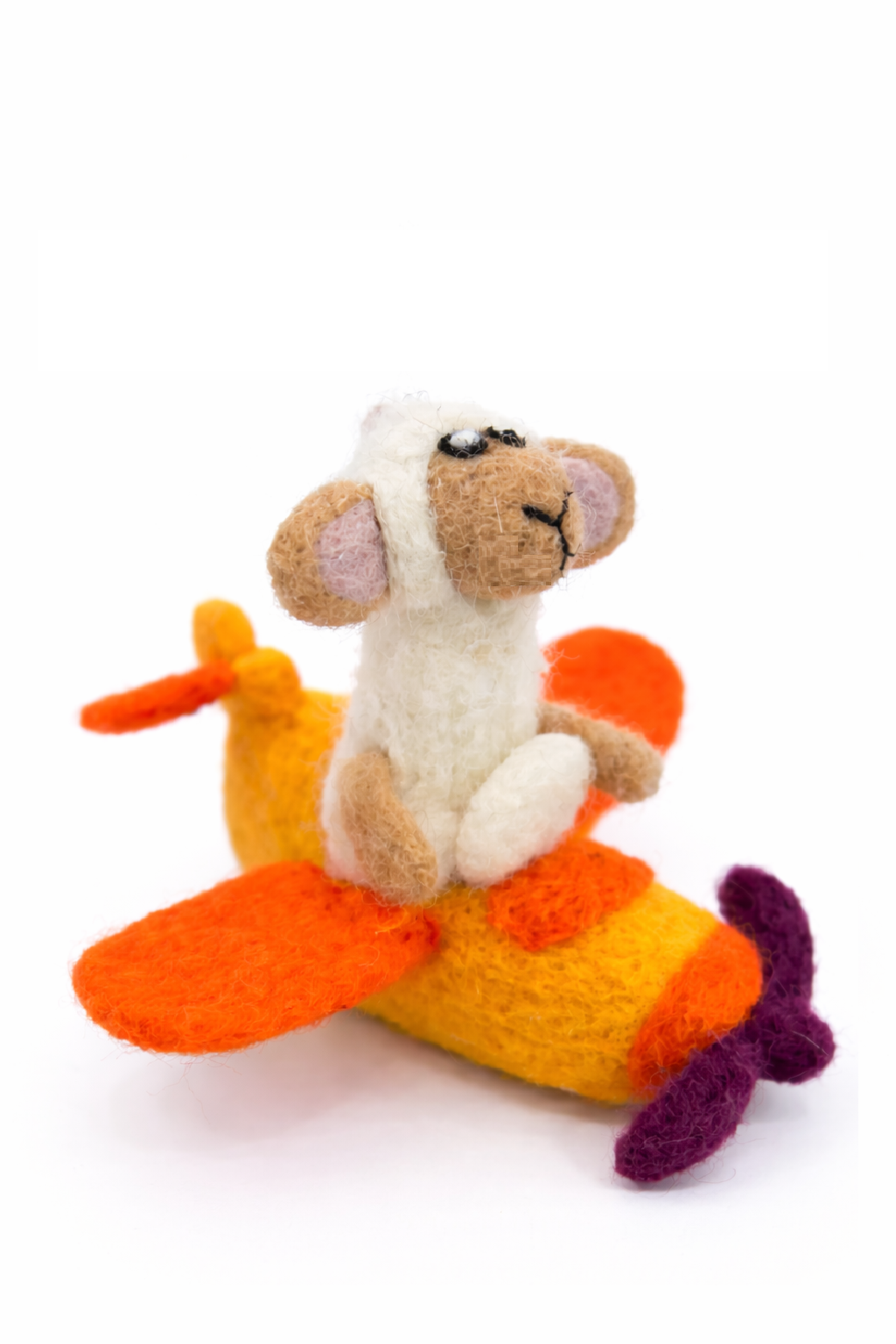Hanger Schaap Vliegtuig